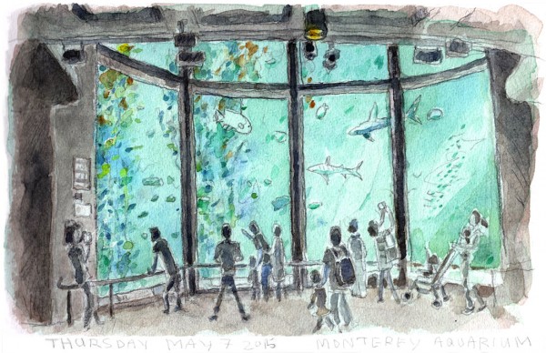 Monterey Aquarium, 2015