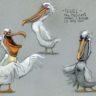 From FINDING NEMO: Nigel the pelican